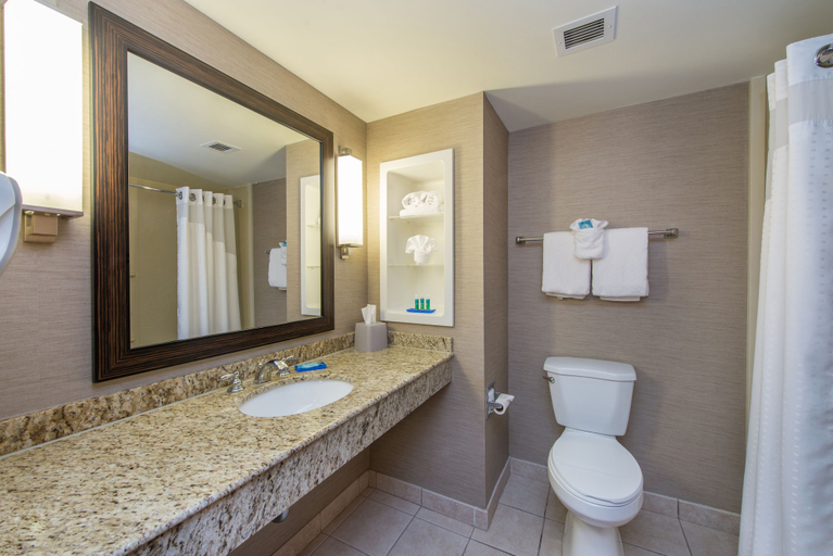 Bathroom 4, Holiday Inn Express & Suites AUBURN by IHG, Worcester