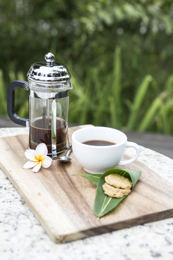 Food & Drinks 24