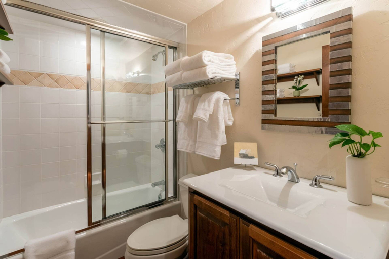 Bathroom 4, Top of Lemond Home, Pitkin