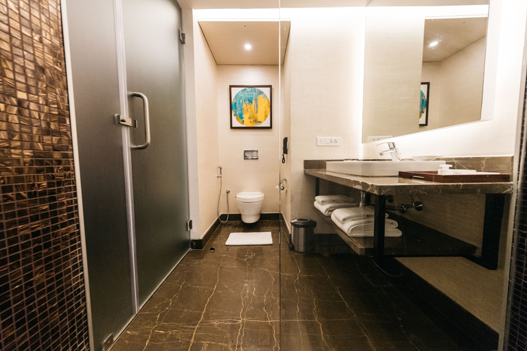 Bathroom 3, The Royale Senate Race Course, Bangalore