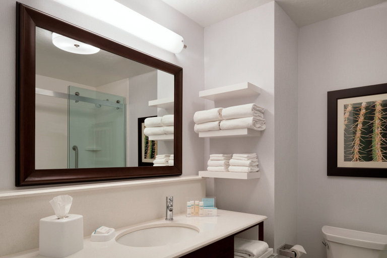 Bathroom 4, Hampton Inn Kanab, Kane