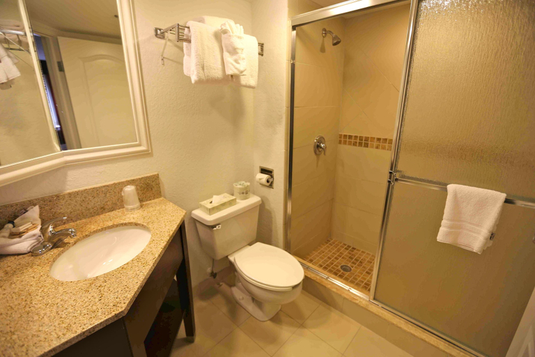 Bathroom 4, Best Western Plus Palm Beach Gardens Hotel & Suites and Conference Ct, Palm Beach