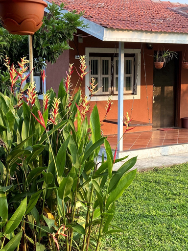Exterior & Views 2, Mango Tree Farm, Raigarh