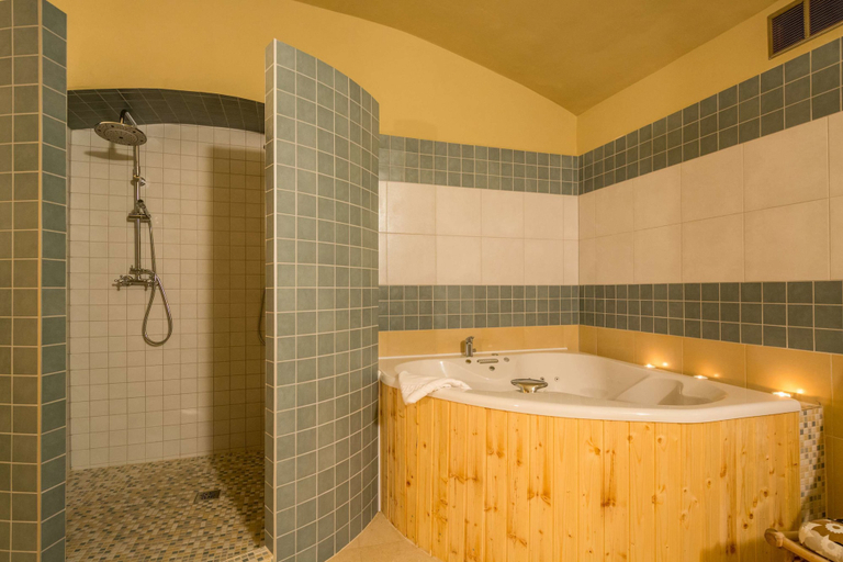 Bathroom 4, Prague Centre Plaza, Praha 2