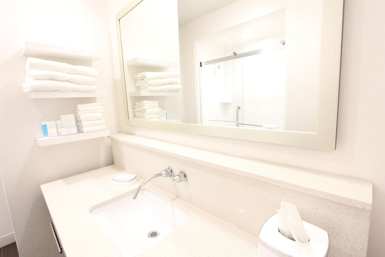 Bathroom 4, Hampton Inn & Suites Dallas Market Center, Dallas