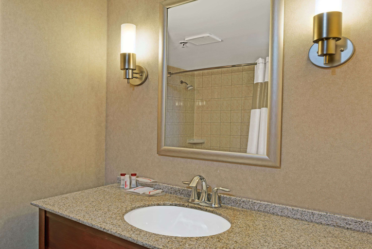 Bathroom 4, Ramada by Wyndham Niagara Falls/Fallsview, Niagara