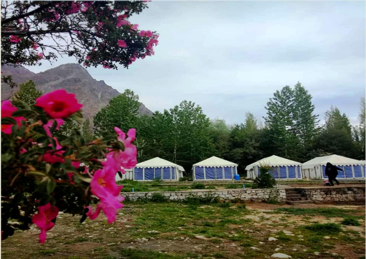 TIH Julley World Camp, Leh (Ladakh)