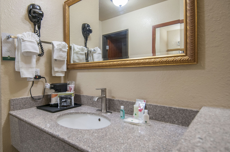 Bathroom 5, Quality Inn Alpine, Brewster