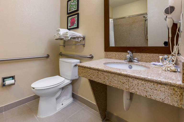 Bathroom 4, Comfort Suites Copperas Cove, Coryell