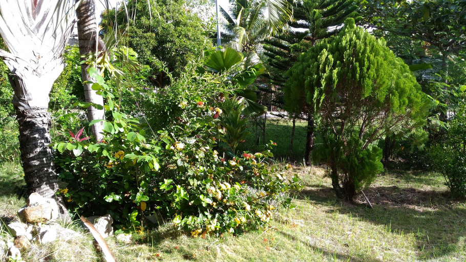 Others 5, Jomajean Garden, Milagros