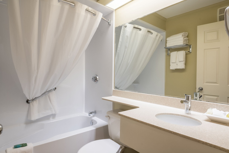 Bathroom 4, Amsterdam Inn & Suites, an Ascend Collection Hotel, Westmorland