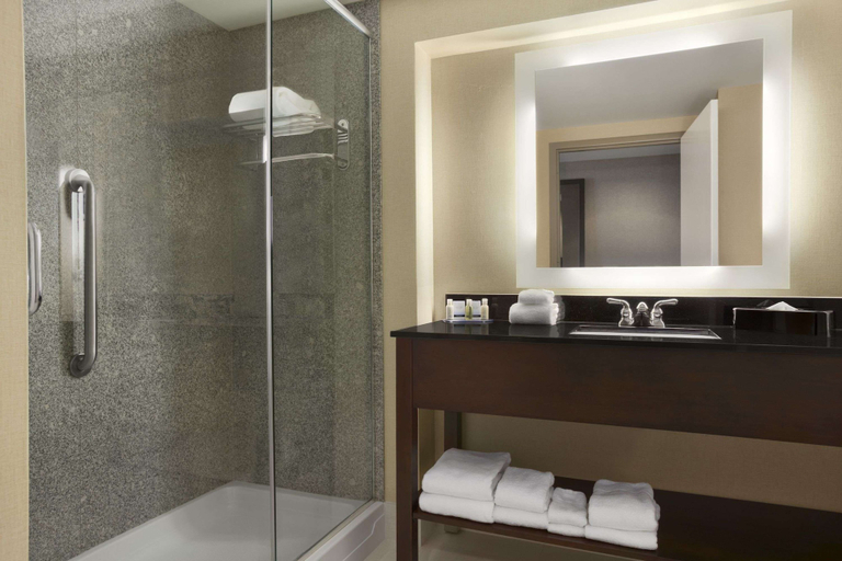 Bathroom 4, Wingate by Wyndham Bismarck, Burleigh