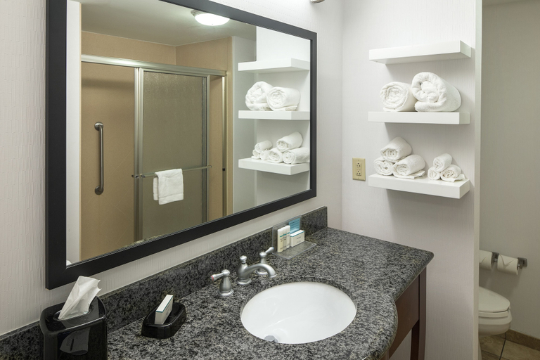 Bathroom 3, Hampton Inn & Suites Little Rock-Downtown, Pulaski