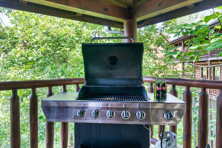 Food & Drinks 5, Hummingbird Hill Vista- Pool HotTub View, Sevier