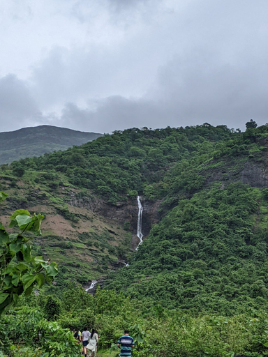 Others 5, Mango Tree Farm, Raigarh