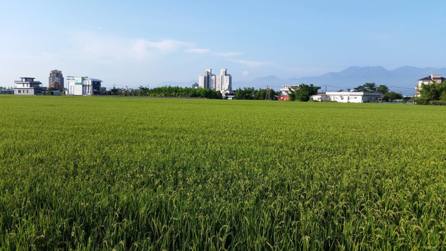 Others 4, Yilan Xiang Feng Homestay, Yilan