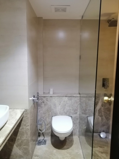 Bathroom 4, Maharaja Regency, Satara