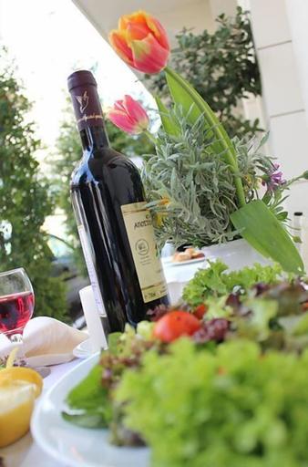 Food & Drinks 3, Galaxy Hotel, Peloponnese