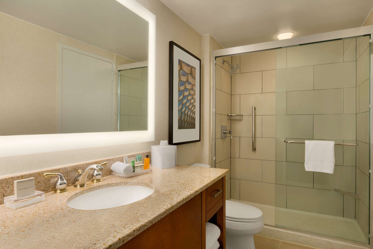 Bathroom 5, Hilton Chicago/Magnificent Mile Suites, Cook