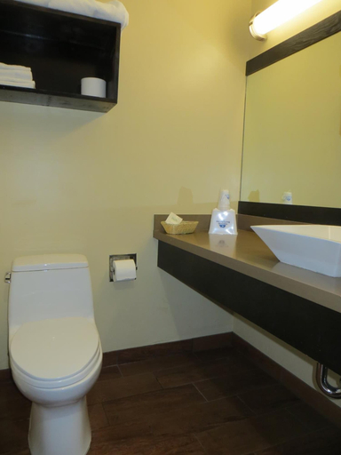 Bathroom 5, Muir Woods Lodge, Marin