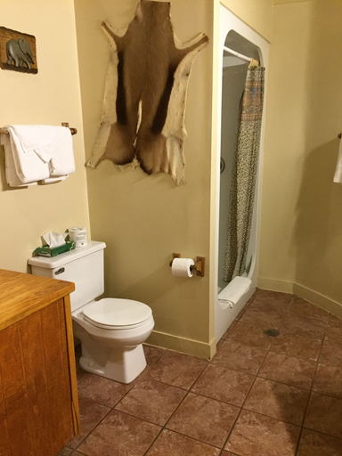 Bathroom 4, Wildwood Inn Tropical Dome & Theme Suites, Boone