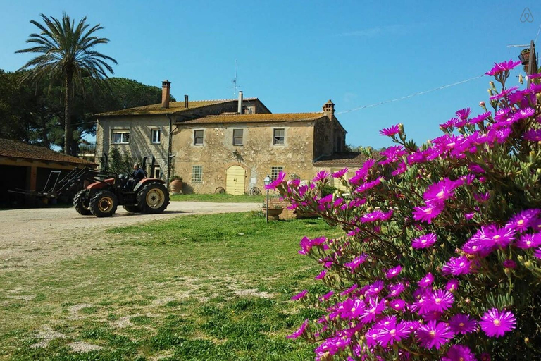 Agriturismo La Valentina Nuova, Grosseto