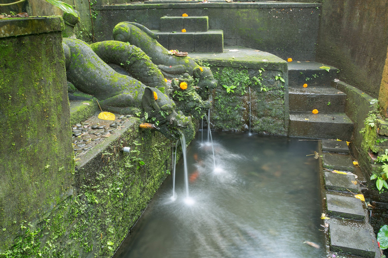 Others 1, Bucu Beji Ubud, Gianyar