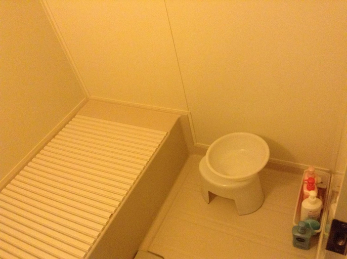 Bathroom 3, Minshuku Akiba, Furano
