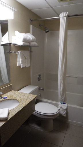 Bathroom 4, Best Western Lakewinds, Mason