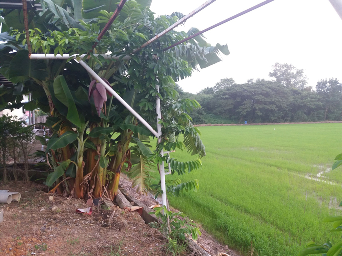 Others 5, 7 Up Resort, Muang Nakhon Nayok