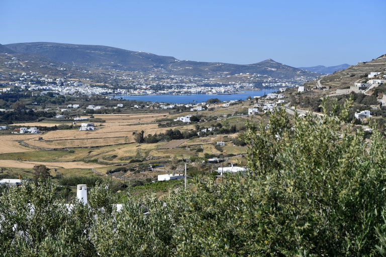 Others 5, Azzurro Bianco Suites, South Aegean