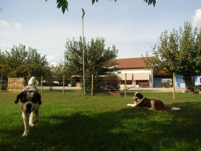 Exterior & Views 2, Podere Vedelago, Treviso