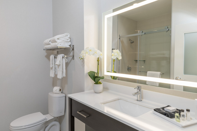 Bathroom 5, Element 29 Hotel, Summit