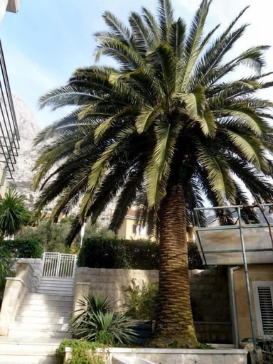 Exterior & Views 2, Palma Apartments