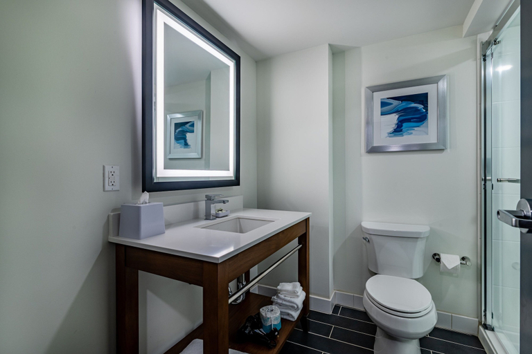 Bathroom 4, Four Points by Sheraton Brunswick, Glynn