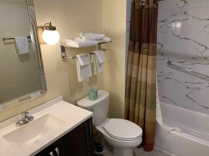 Bathroom 5, Four Winds Country Motel, Bennington