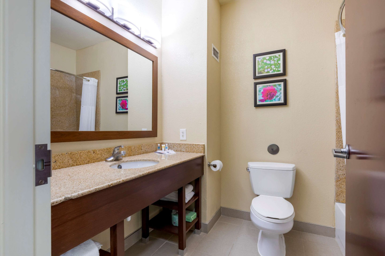 Bathroom 4, Comfort Suites Copperas Cove, Coryell