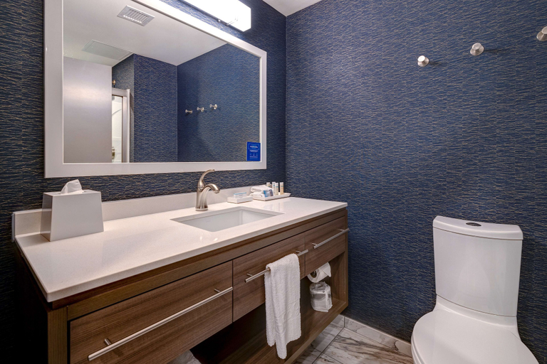 Bathroom 4, Home2 Suites Downtown Nashville/Metrocenter, Davidson