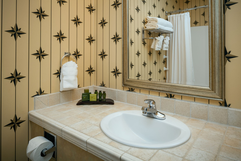 Bathroom 4, Plaza Inn & Suites at Ashland Creek, Jackson