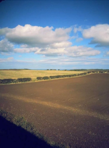 Others 5, Purdy Lodge, Northumberland