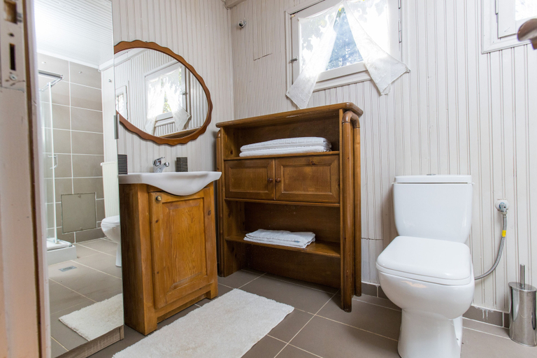 Bathroom 4, Raise Polydrosos Mountain stay, Central Greece