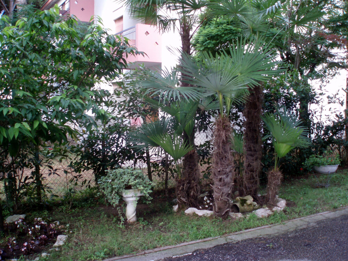 Others 5, Villa Cristina N.6, Venezia