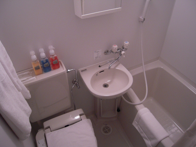 Bathroom, Hotel Fosse Himeji, Himeji