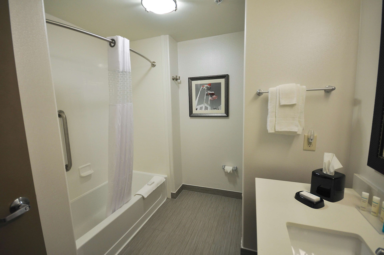 Bathroom 4, Hampton Inn & Suites Hutto Austin, Williamson