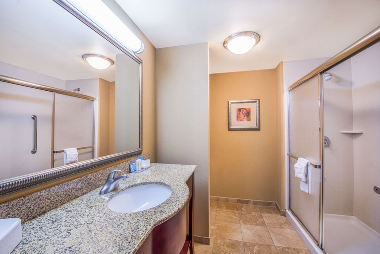 Bathroom 4, Hampton Inn & Suites Oklahoma City - South, Oklahoma