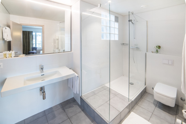 Bathroom 4, Hotel Montana, Genève