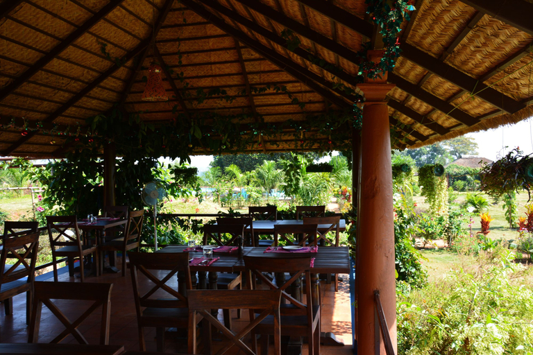 Food & Drinks 5, Red Earth Kabini, Mysore