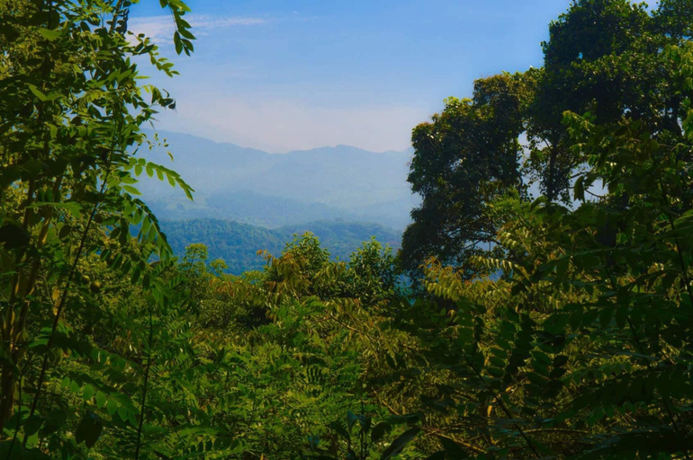 View from property, Sommersheild Cottage, Matale