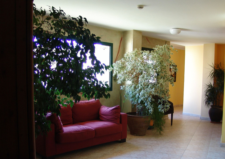 Others 5, Hotel Pinxo, Girona