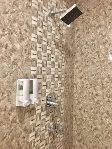 Bathroom 4, Hotel Khamsum, Wangchang